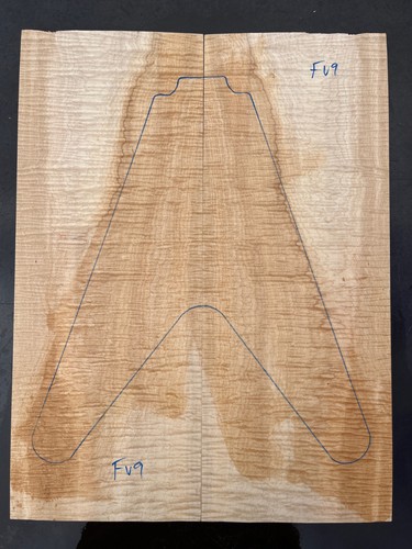 Curly sycamore maple flying - curly, v