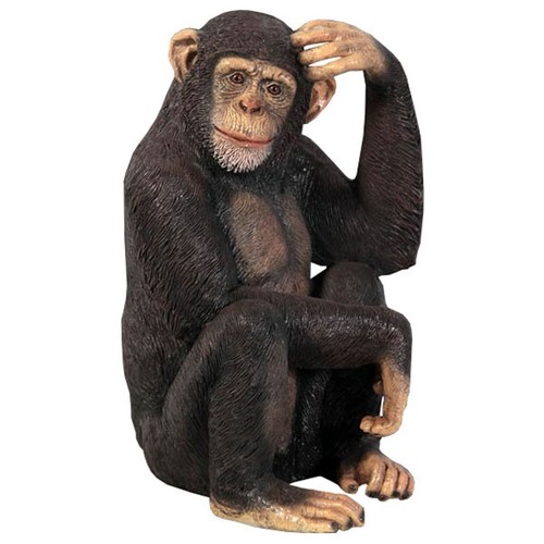 70cm 47cm scratching chimp - 70cm, x