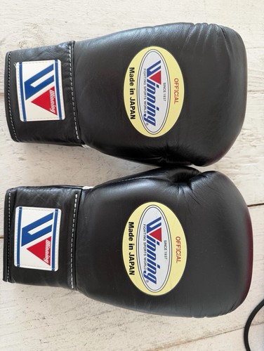 Winning boxing gloves - gloves, ms-300