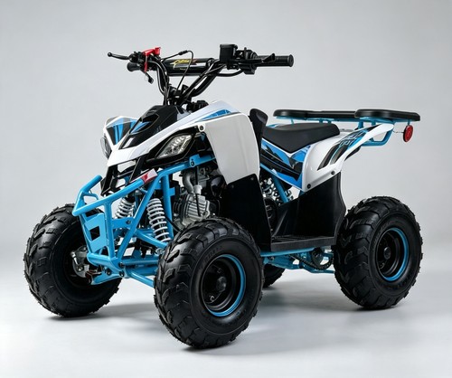 Beast motorsport 125cc atv - motorsport,