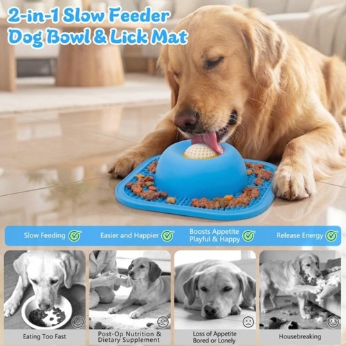 Slow feeder dog - feeder, bowls