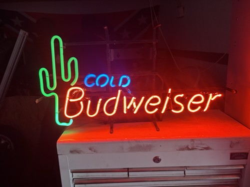 Cold budweiser with cactus - cold,