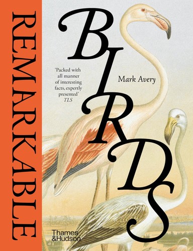 Remarkable birds avery mark - birds,avery,,