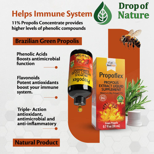 Brazilian green propolis - brazilian,