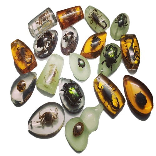 Pcs insect amber fossils - 18,