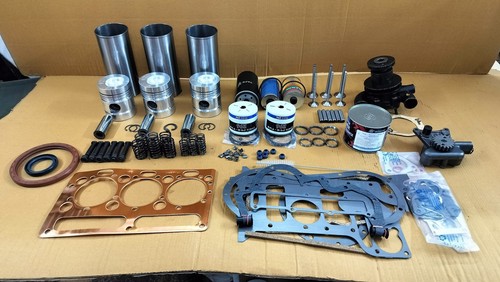 Frame engine overhaul kit - engine,