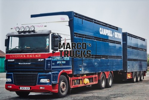 Truck photo daf - truck, cattle
