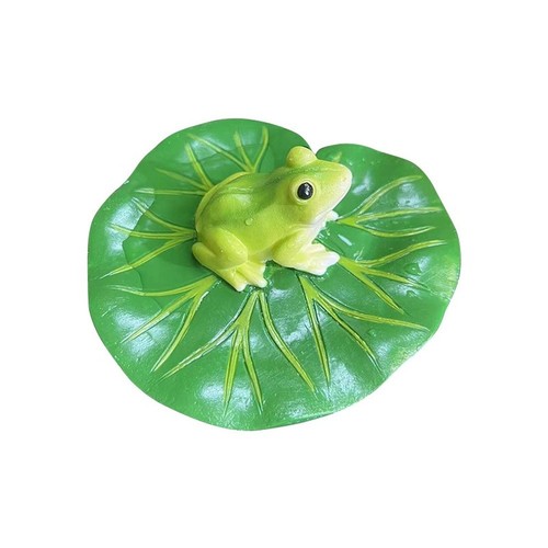 Water lily leaf with - water, frog