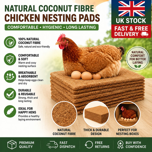 Pack chicken nest box - nest,