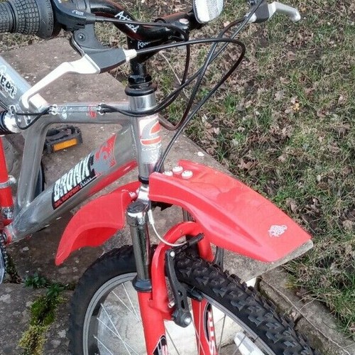 New red armadillo - red,