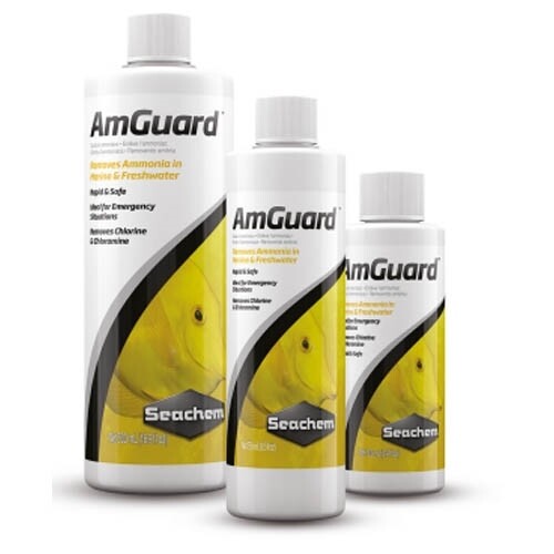 Seachem amguard 100ml - amguard, 250ml
