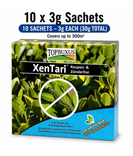 Topbuxus xentari boxwood - xentari,