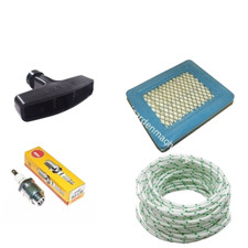 Briggs & Stratton Quantum