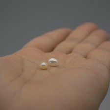 Freshwater Teardrop Rice