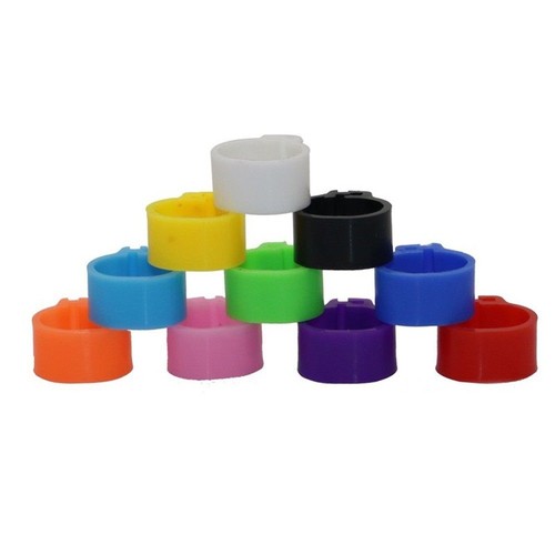 Igeon leg rings band - leg,