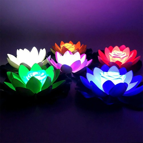6pcs solar floating lamp - lamp, lily