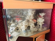 large aquarium fish tank