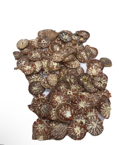 Dried areca nut - areca,