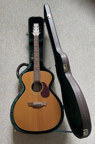 Vintage ve2000gg gordon - vintage,