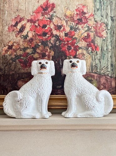 Large white staffordshire - white,