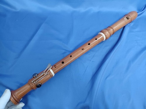 Zen 2500b tenor - zen-on, recorder