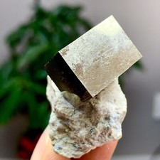 41G Natural Raw Atone Spanish Pyrete Cubic crystal quartz mineral sample