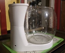 Beta Fish Bowl and Plant