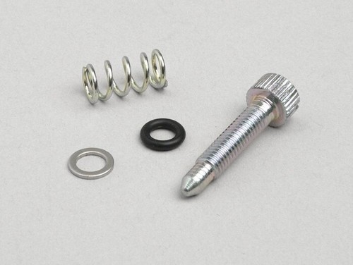 Idle screw kit dellorto - idle,