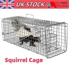 Large Metal Squirrel Cage Live