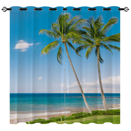 Palm tree tropical beach - &,
