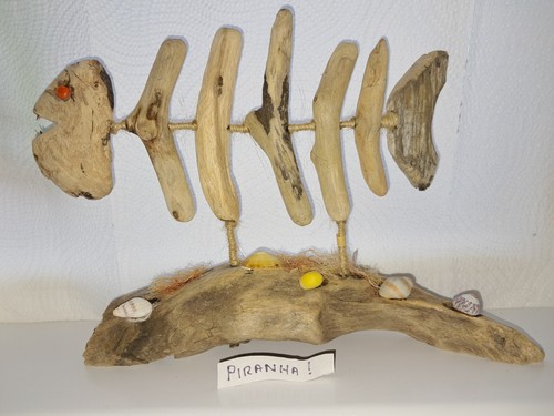 Driftwood piranha fish - piranha,