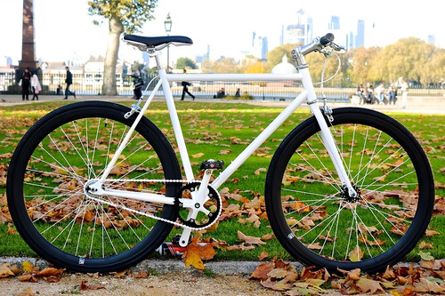 White black teman single speed - white,