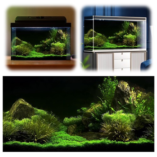 Aquarium background poster - 3d,