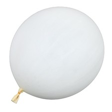 Weather Balloon Professional