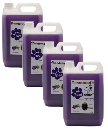 Kennel cattery cleaner - cattery,