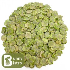 Flaked Peas 100g - 1kg | Dried