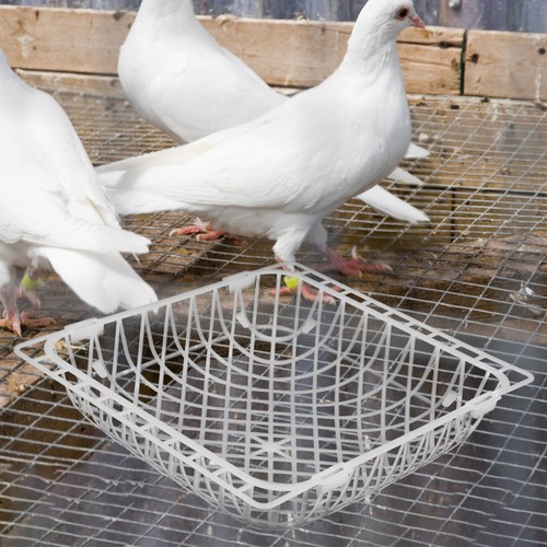 Pcs bird nest - 10,