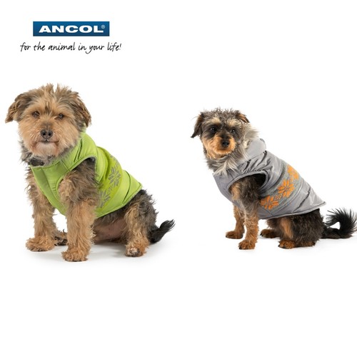 Ancol muddy paws dog - ancol,