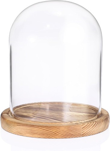 Glass display cloche bell - glass,