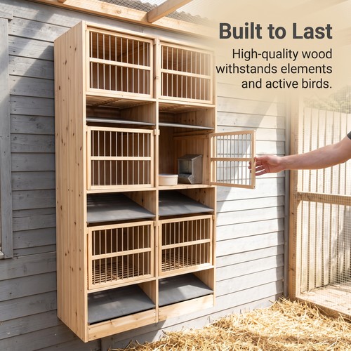 Bird breeding cage - bird, indoor