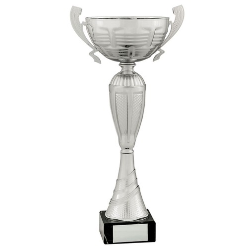 Large silver cups with handles - large,