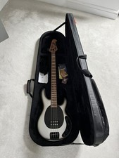 4 month old Musicman Stingray