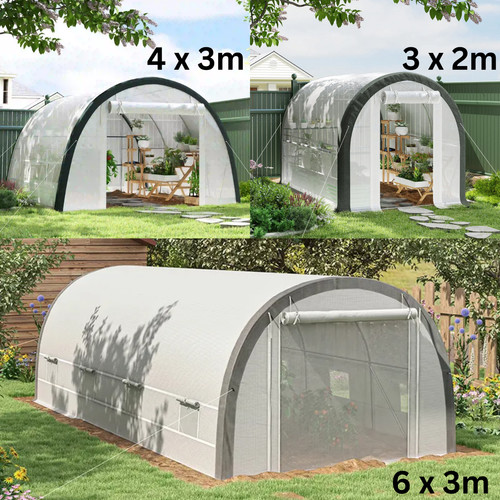 Large walk polytunnel - in,