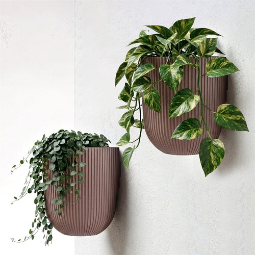 Wall planter set - of, indoor