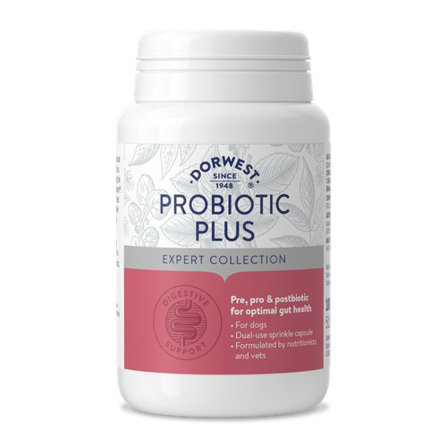 Dorwest probiotic plus for - plus,