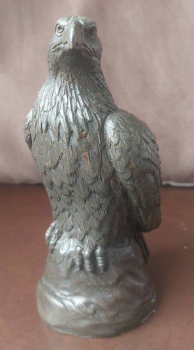 Eagle falcon bird prey - bird,
