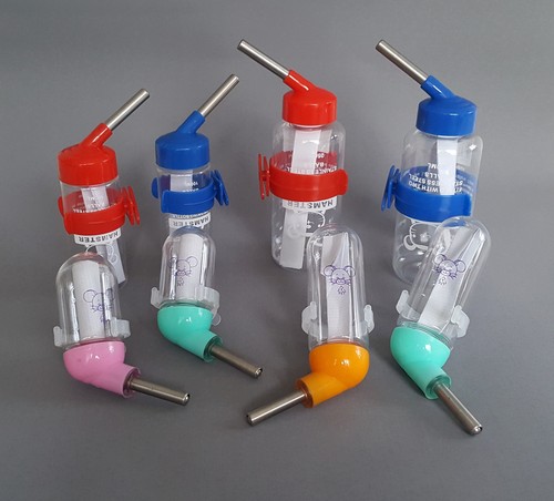 Water bottle for hamster - water,
