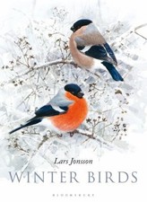 Winter Birds Hardcover Lars