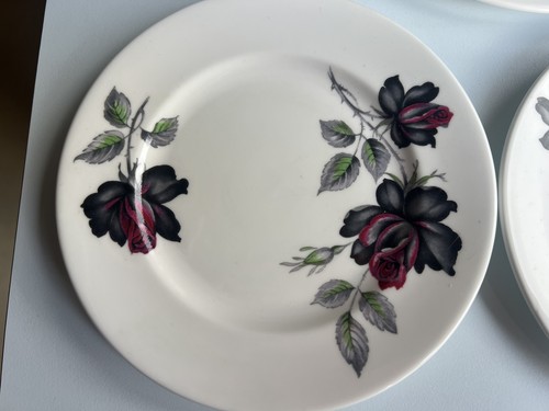 Royal albert masquerade bone - royal,