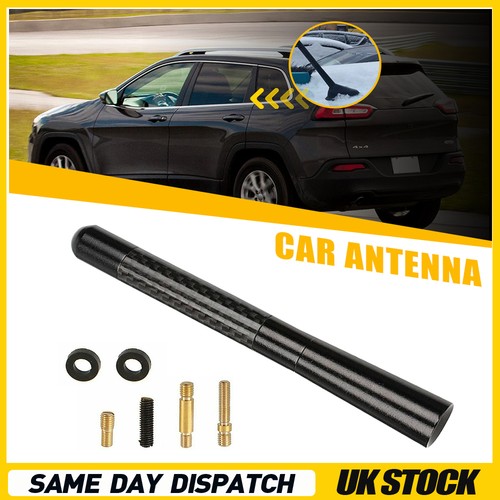 Universal car roof mount mast - car,
